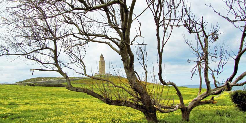 entrega-de-premios-calendario-grupo-isonor-2018